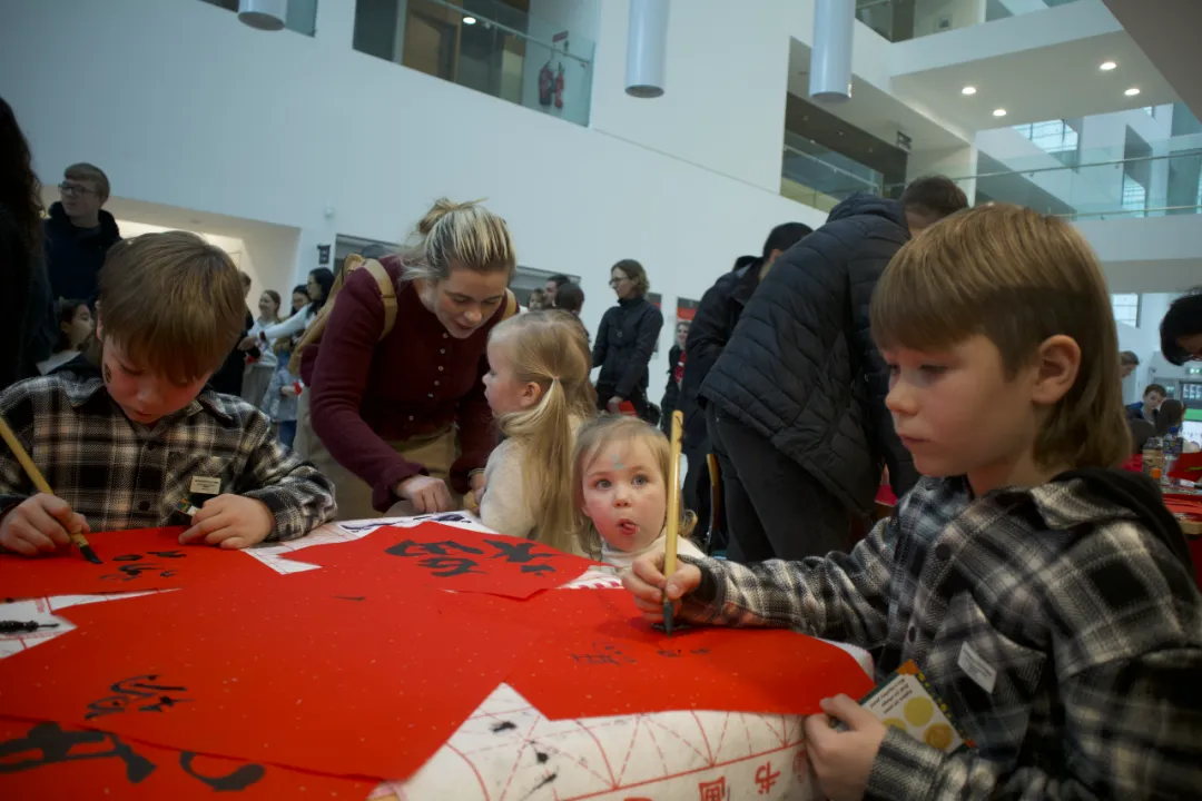 爱尔兰科克大学孔子学院在科克市政厅举办“金马献瑞·2026年科克中国春节庆祝活动” 图片